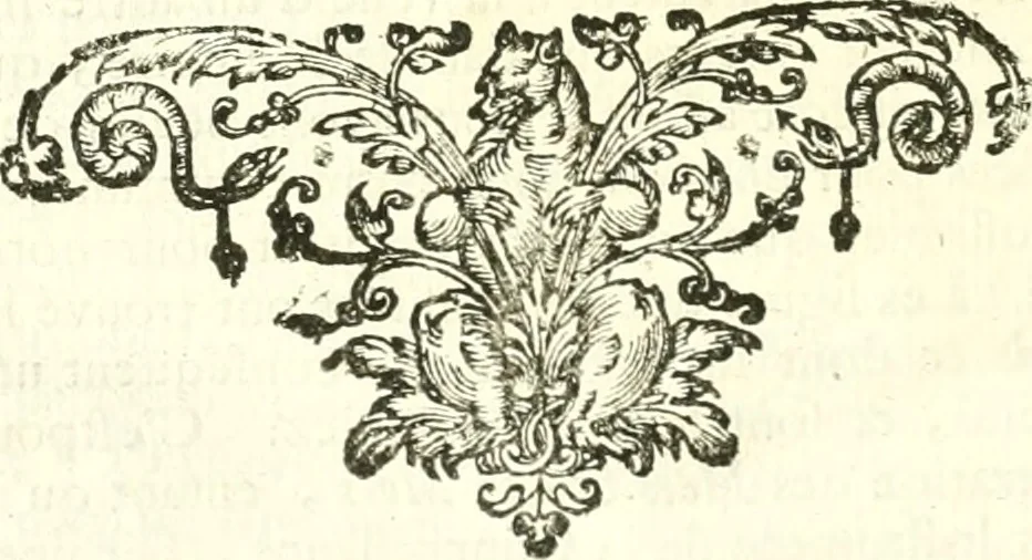 An illustration from Essai philosophique concernant l'entendement humain : ou l'on montre quelle est l'etendue de nos connoissances certaines, et la maniere dont nous y parvenons, 1700, leaf 995