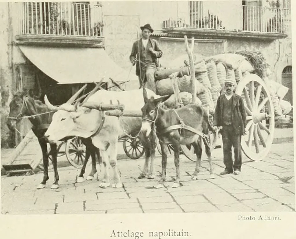 An illustration from Naples et son golfe, 1911, leaf 12