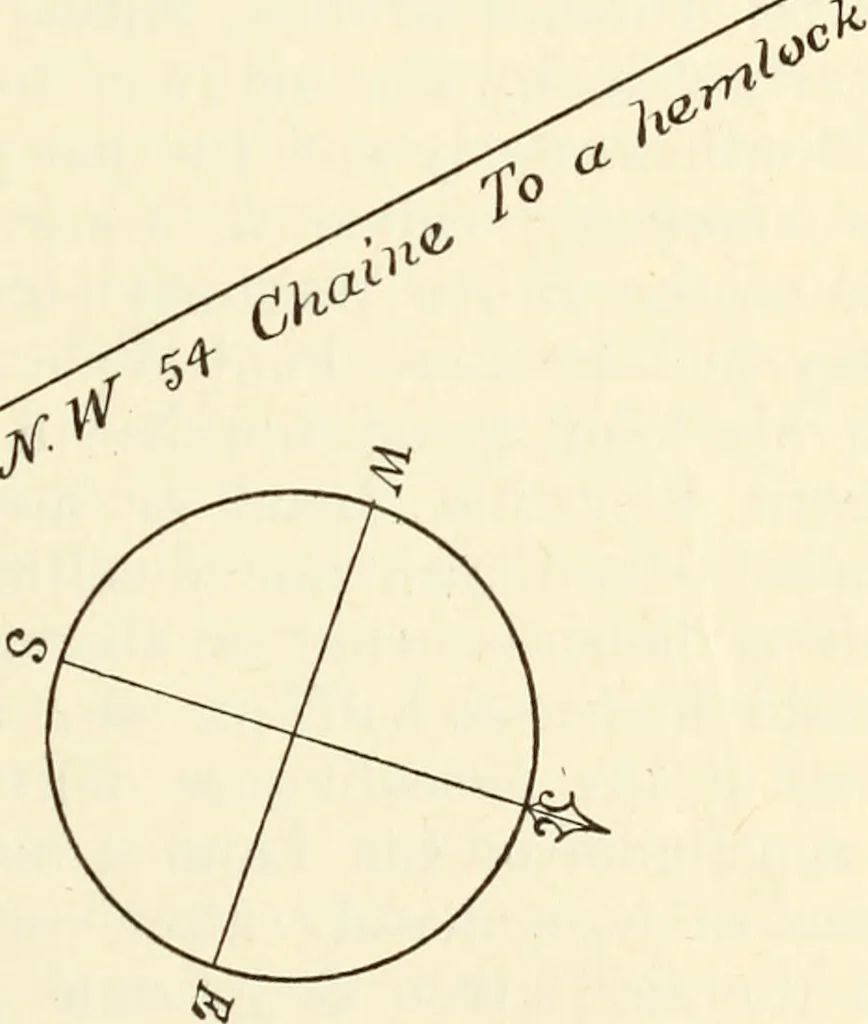An illustration from York deeds, 1642, leaf 620