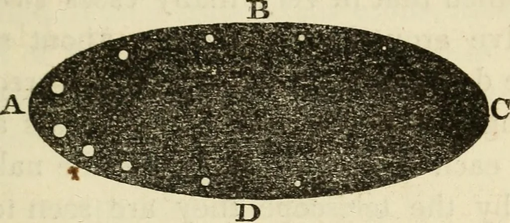 An illustration from The young astronomer; or, The facts developed by modern astronomy, collected for the use of schools and the general reader, 1847, leaf 102
