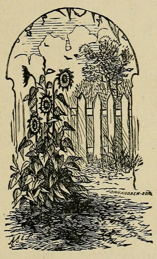 An illustration from The young astronomer; or, Helps to a knowledge of the leading constellations.., 1891, leaf 81