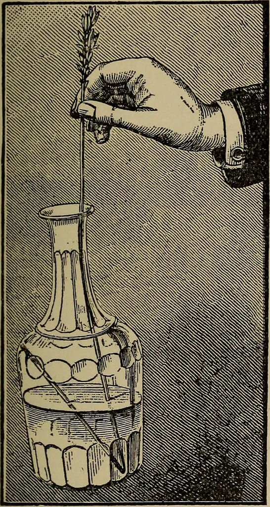 An illustration from The young folk's cyclopædia of games and sports ;, 1899, leaf 116