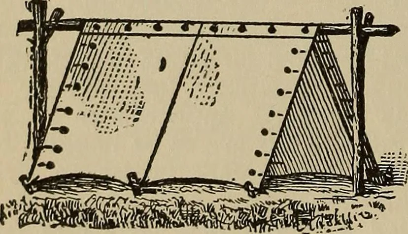 An illustration from The young folk's cyclopædia of games and sports ;, 1899, leaf 137