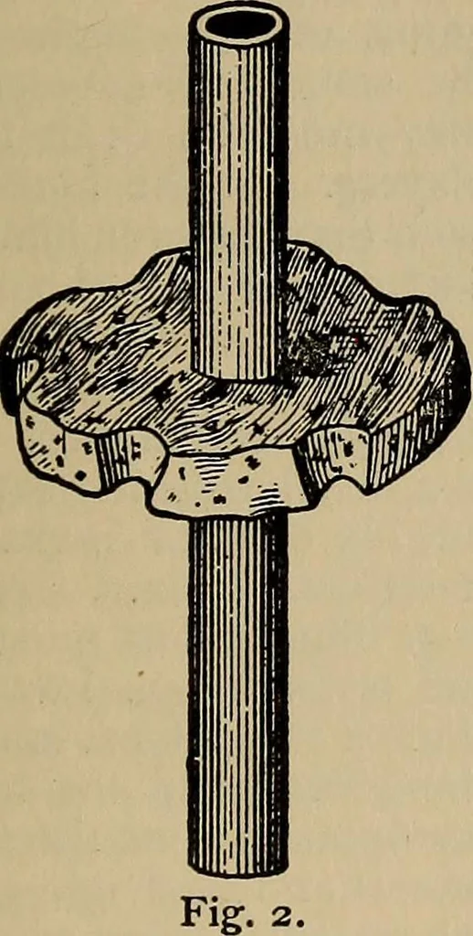 An illustration from The young folk's cyclopædia of games and sports ;, 1899, leaf 14