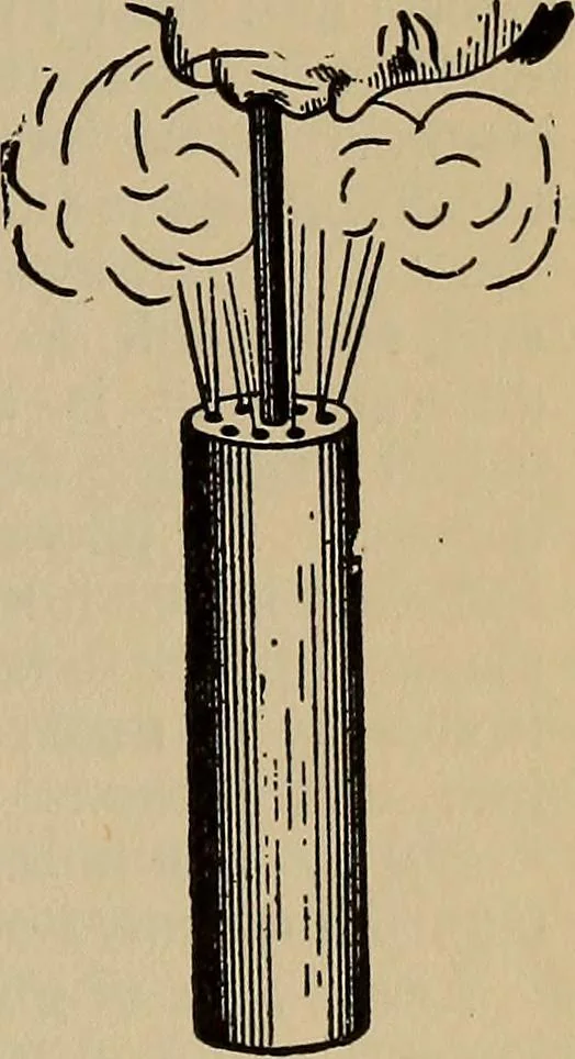An illustration from The young folk's cyclopædia of games and sports ;, 1899, leaf 14