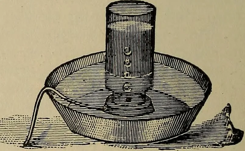 An illustration from The young folk's cyclopædia of games and sports ;, 1899, leaf 175