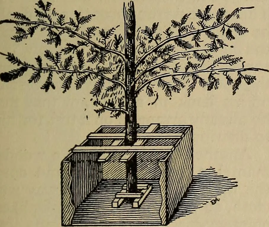 An illustration from The young folk's cyclopædia of games and sports ;, 1899, leaf 200