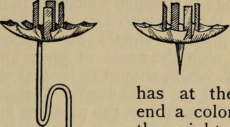 An illustration from The young folk's cyclopædia of games and sports ;, 1899, leaf 200