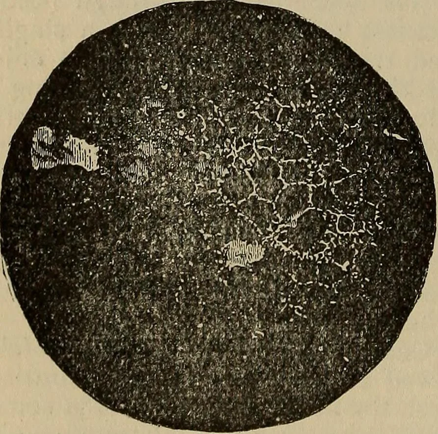 An illustration from The young folk's cyclopædia of games and sports ;, 1899, leaf 207