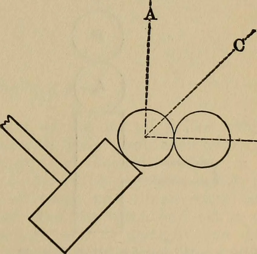 An illustration from The young folk's cyclopædia of games and sports ;, 1899, leaf 238