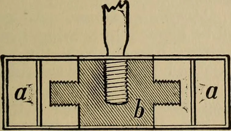 An illustration from The young folk's cyclopædia of games and sports ;, 1899, leaf 240