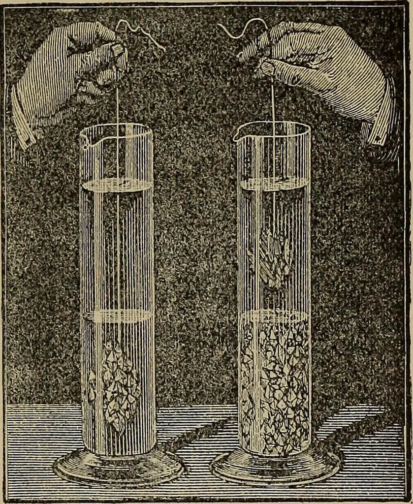 An illustration from The young folk's cyclopædia of games and sports ;, 1899, leaf 248