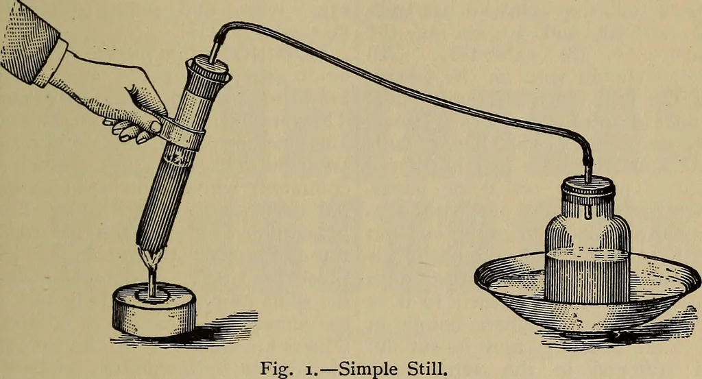 An illustration from The young folk's cyclopædia of games and sports ;, 1899, leaf 268