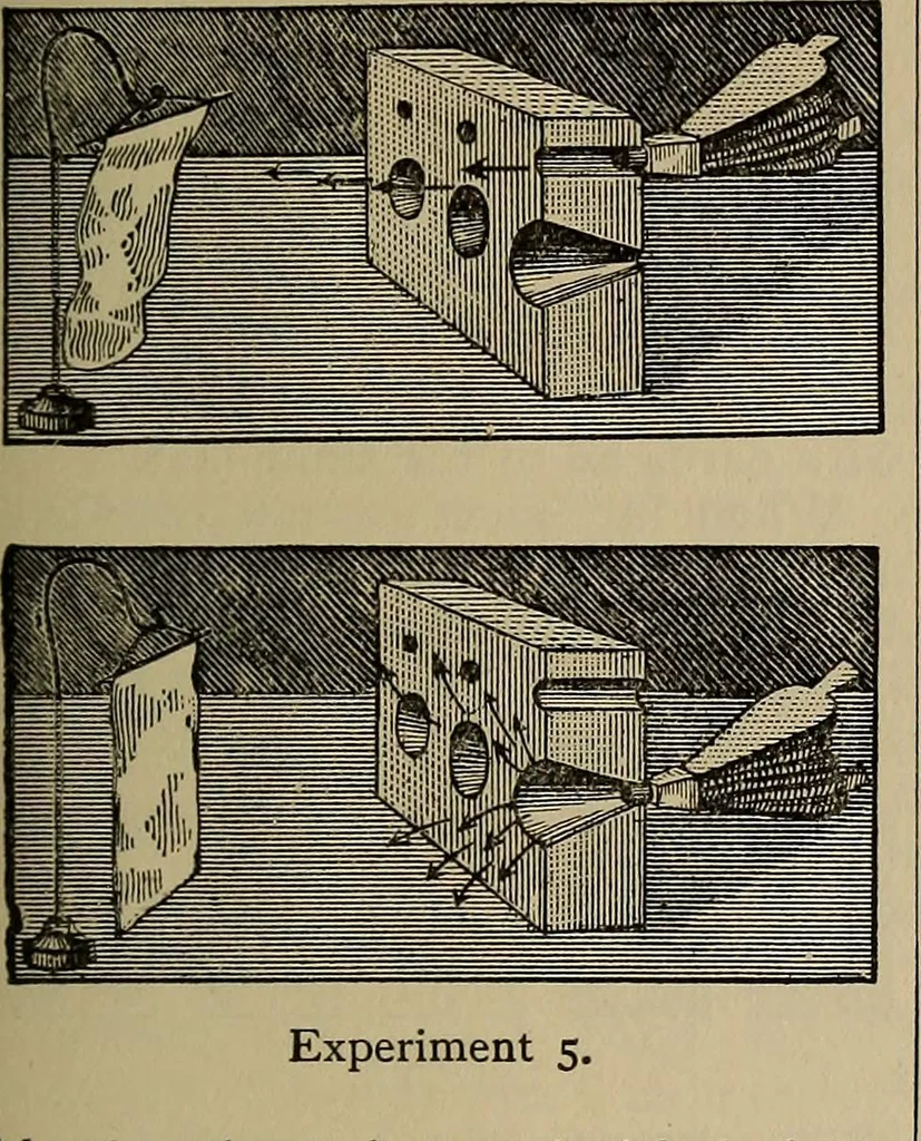 An illustration from The young folk's cyclopædia of games and sports ;, 1899, leaf 276