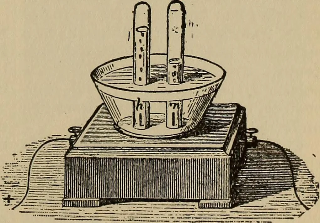 An illustration from The young folk's cyclopædia of games and sports ;, 1899, leaf 300