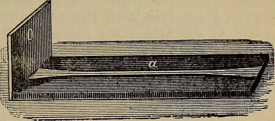 An illustration from The young folk's cyclopædia of games and sports ;, 1899, leaf 316