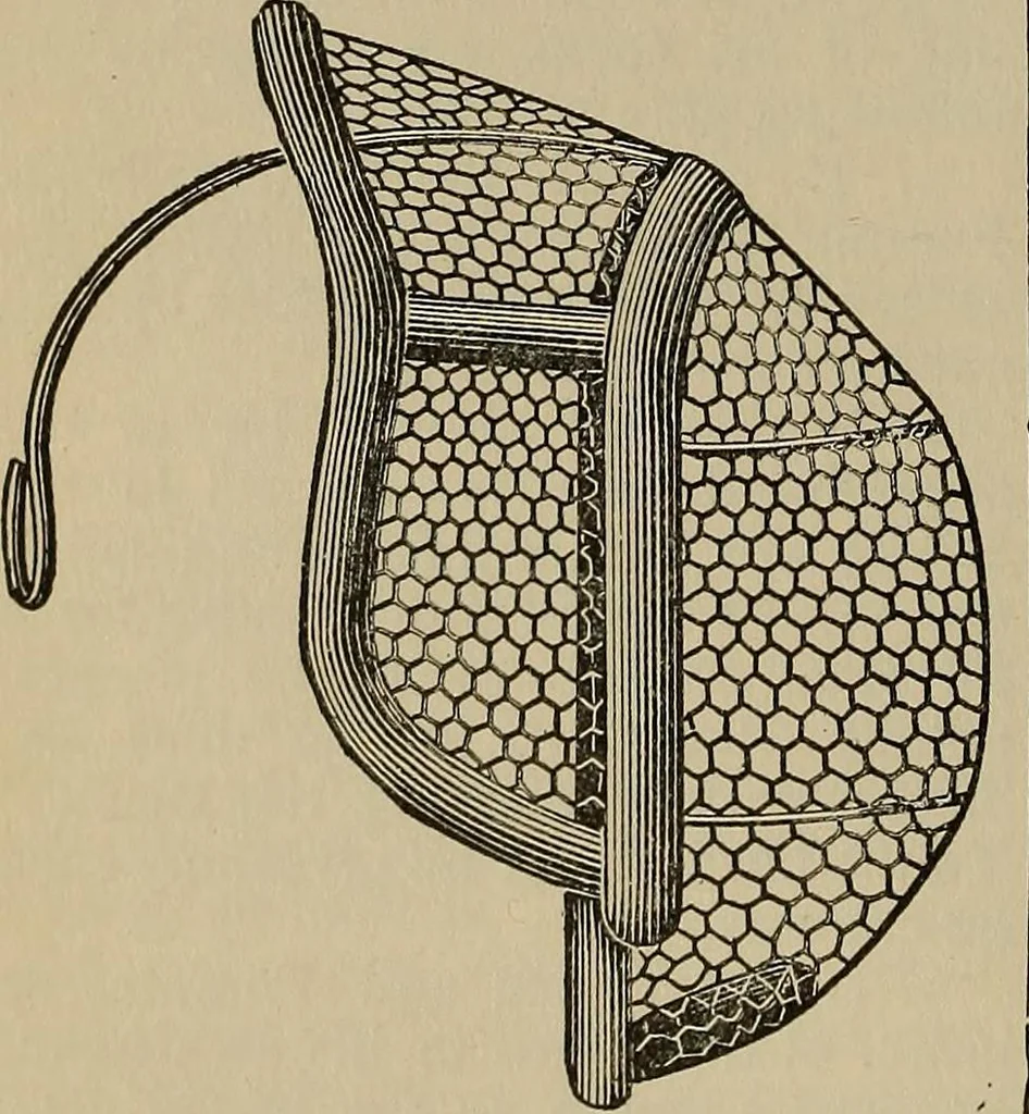 An illustration from The young folk's cyclopædia of games and sports ;, 1899, leaf 319