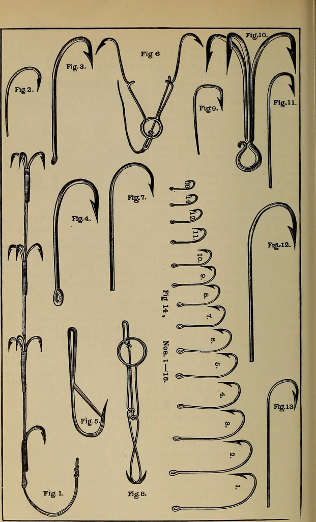 An illustration from The young folk's cyclopædia of games and sports ;, 1899, leaf 331