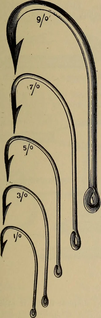 An illustration from The young folk's cyclopædia of games and sports ;, 1899, leaf 332