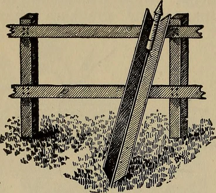 An illustration from The young folk's cyclopædia of games and sports ;, 1899, leaf 365