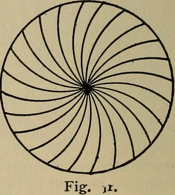 An illustration from The young folk's cyclopædia of games and sports ;, 1899, leaf 365