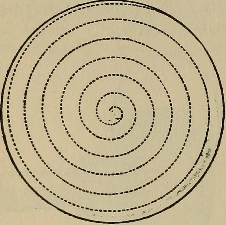 An illustration from The young folk's cyclopædia of games and sports ;, 1899, leaf 367