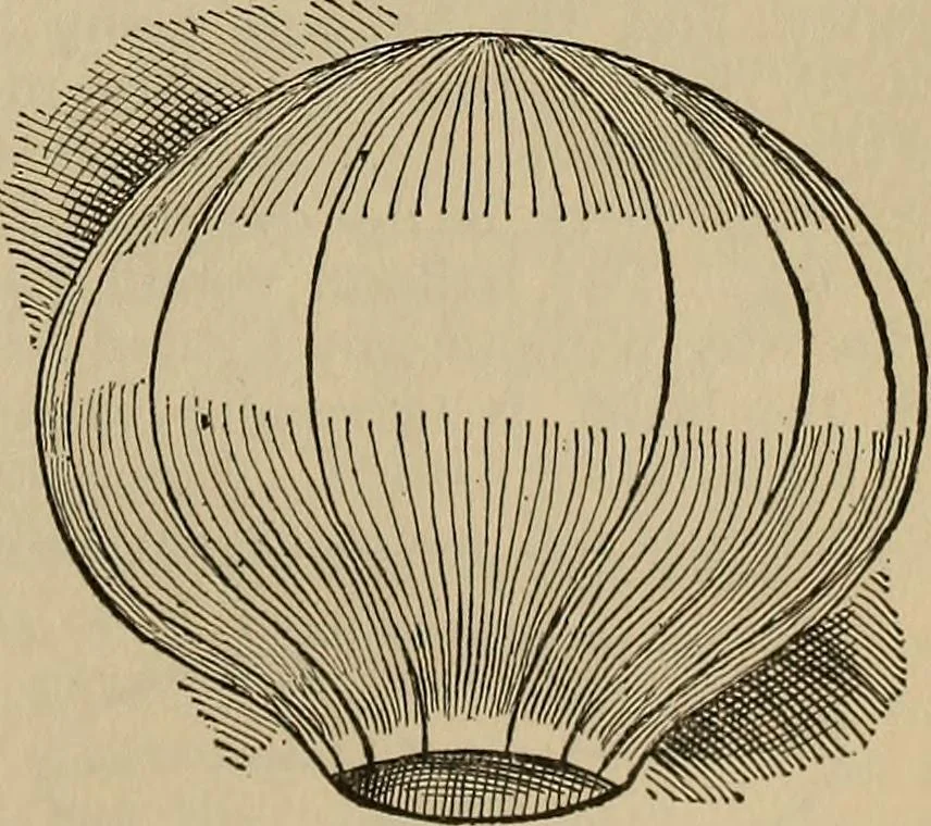 An illustration from The young folk's cyclopædia of games and sports ;, 1899, leaf 368