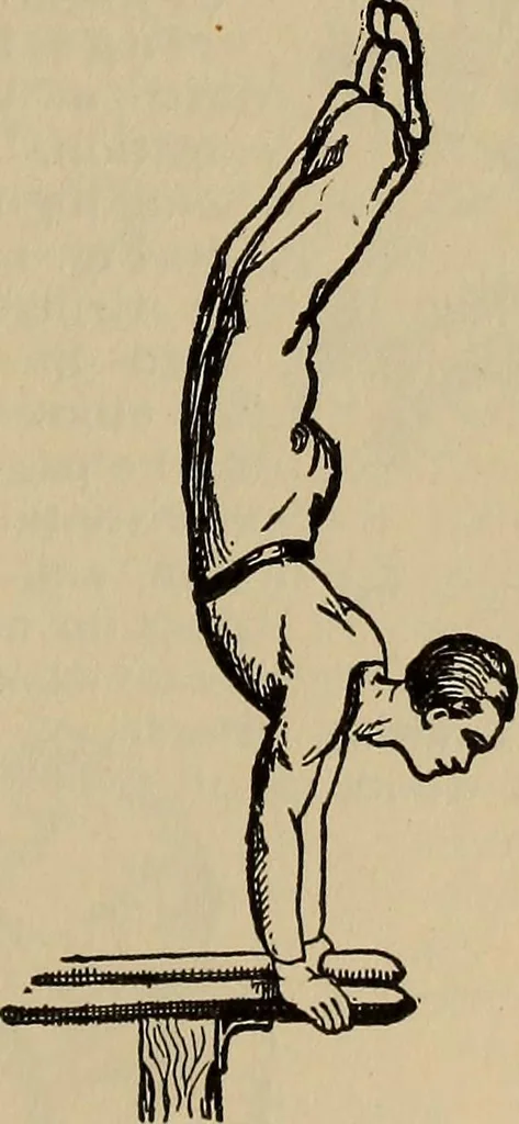 An illustration from The young folk's cyclopædia of games and sports ;, 1899, leaf 396