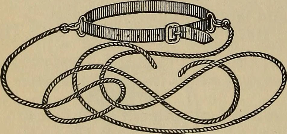 An illustration from The young folk's cyclopædia of games and sports ;, 1899, leaf 401
