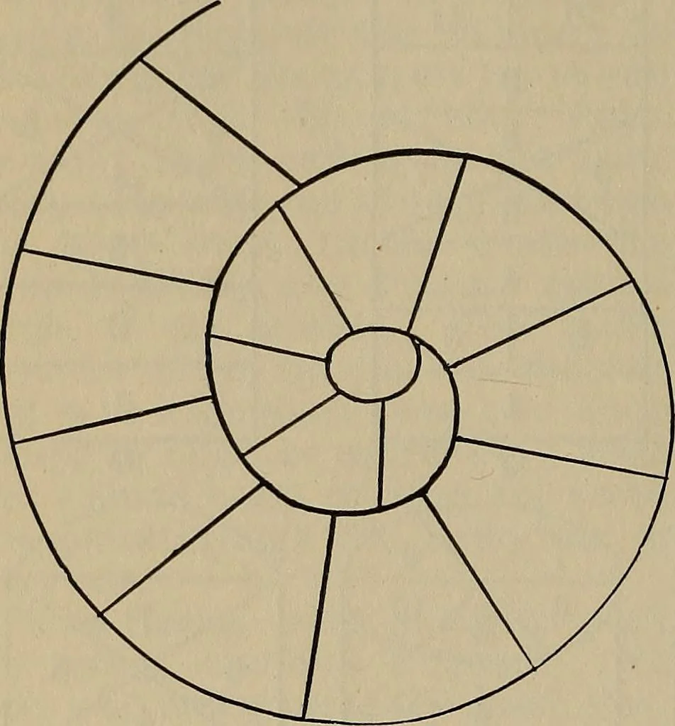 An illustration from The young folk's cyclopædia of games and sports ;, 1899, leaf 425