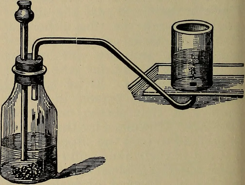 An illustration from The young folk's cyclopædia of games and sports ;, 1899, leaf 441