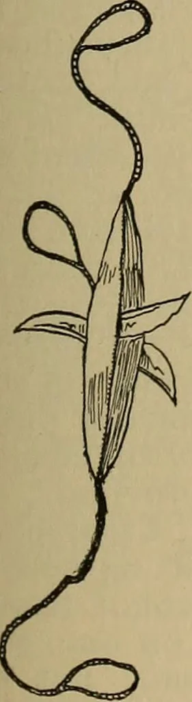 An illustration from The young folk's cyclopædia of games and sports ;, 1899, leaf 458