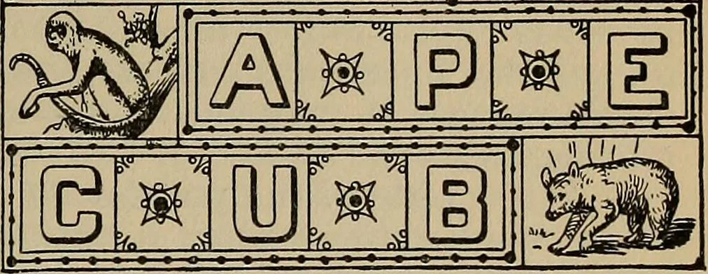 An illustration from The young folk's cyclopædia of games and sports ;, 1899, leaf 480