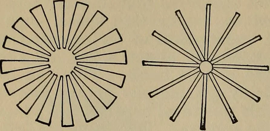 An illustration from The young folk's cyclopædia of games and sports ;, 1899, leaf 485