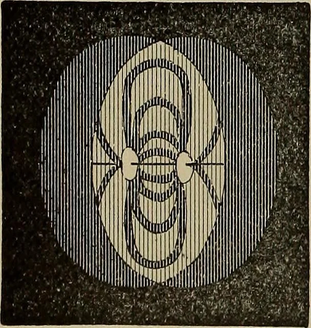 An illustration from The young folk's cyclopædia of games and sports ;, 1899, leaf 485