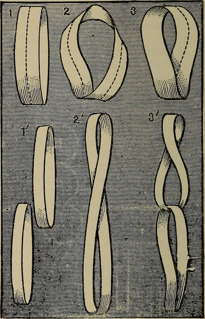 An illustration from The young folk's cyclopædia of games and sports ;, 1899, leaf 525