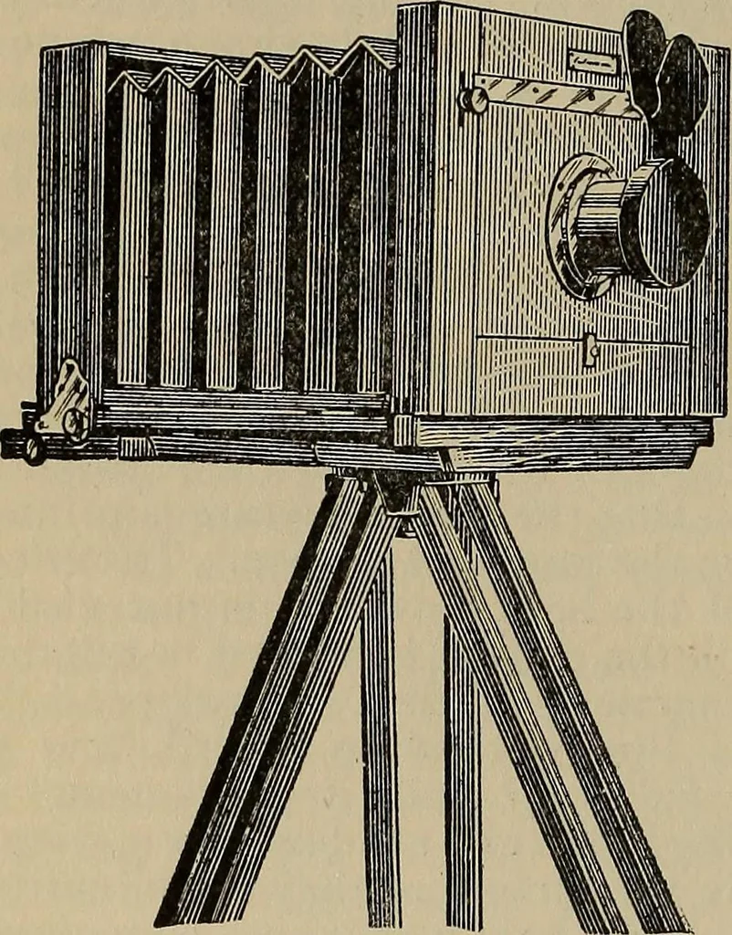 An illustration from The young folk's cyclopædia of games and sports ;, 1899, leaf 535
