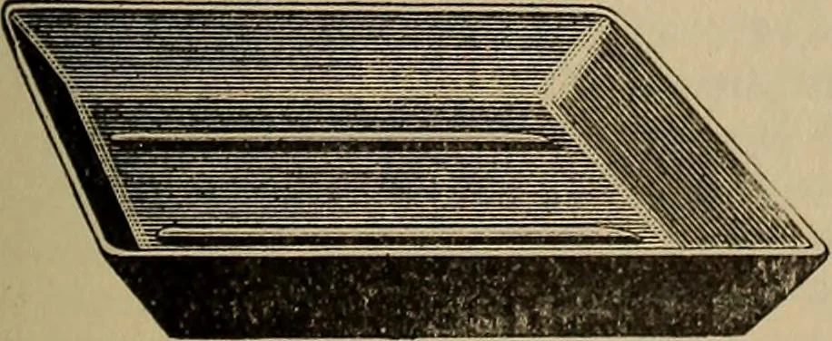 An illustration from The young folk's cyclopædia of games and sports ;, 1899, leaf 536