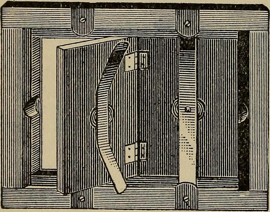 An illustration from The young folk's cyclopædia of games and sports ;, 1899, leaf 539