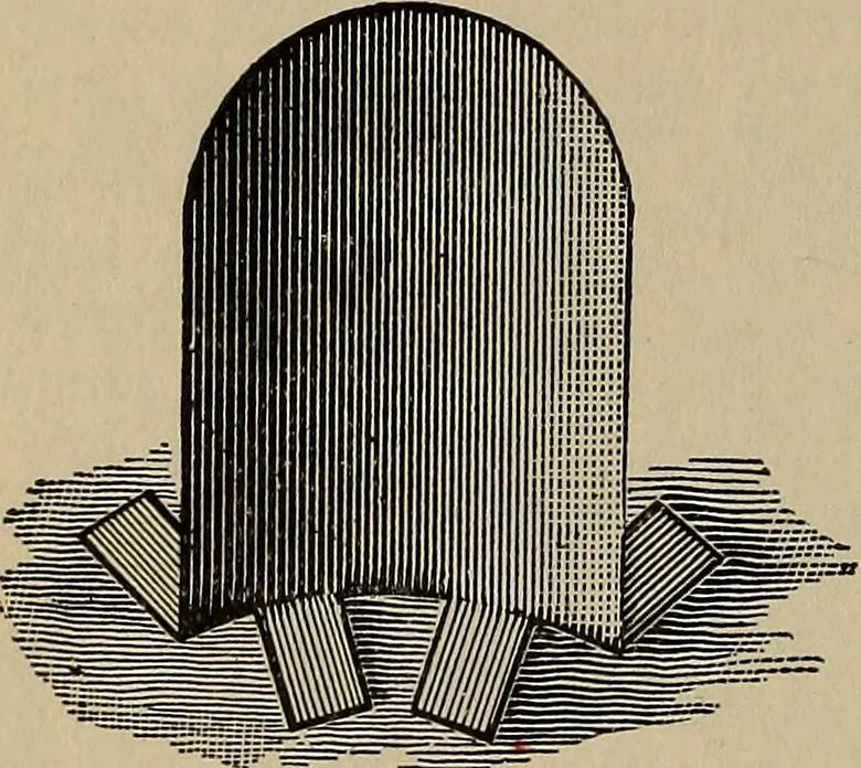 An illustration from The young folk's cyclopædia of games and sports ;, 1899, leaf 561