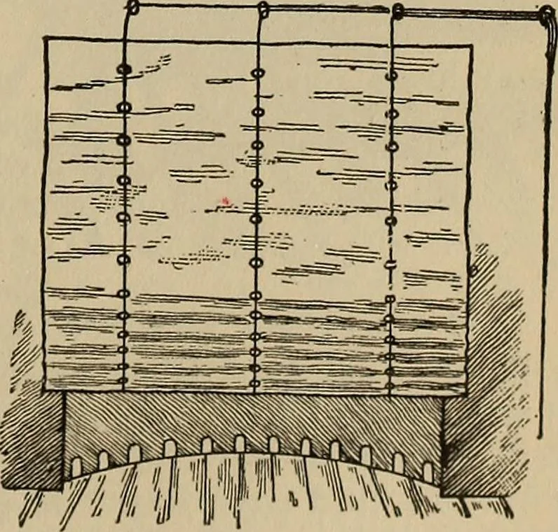 An illustration from The young folk's cyclopædia of games and sports ;, 1899, leaf 562