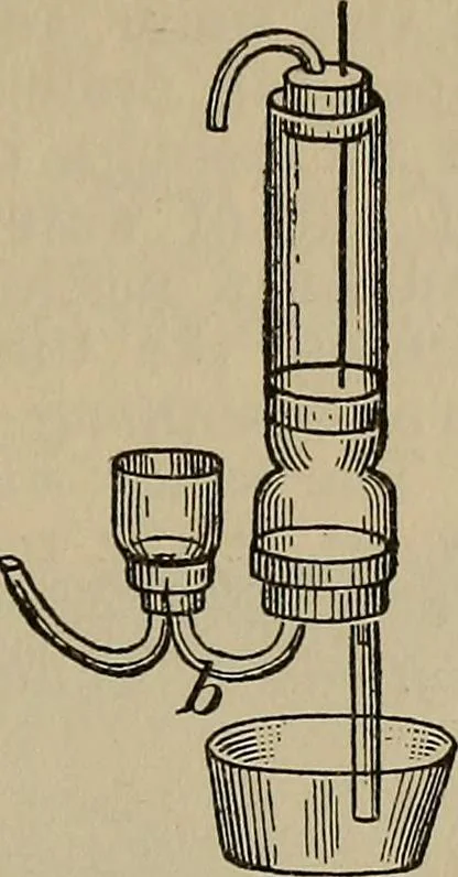 An illustration from The young folk's cyclopædia of games and sports ;, 1899, leaf 568