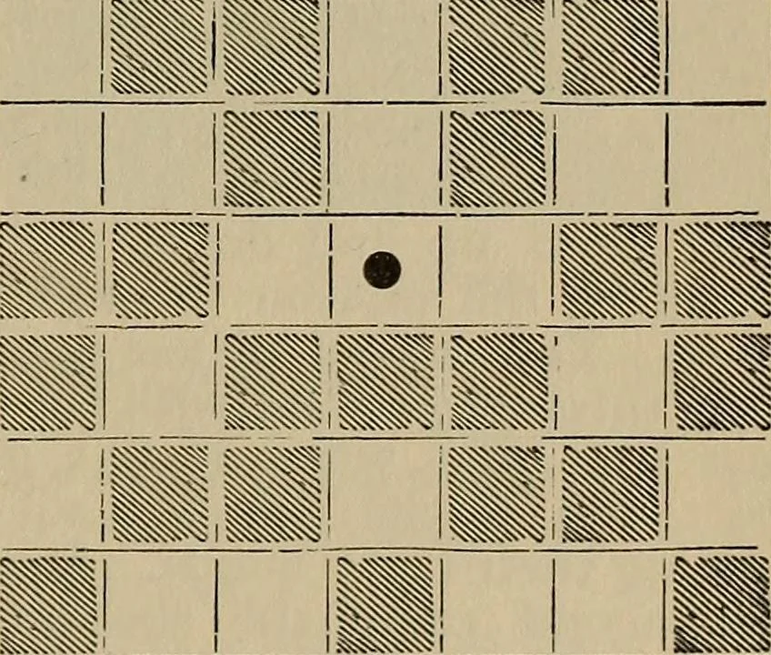 An illustration from The young folk's cyclopædia of games and sports ;, 1899, leaf 572