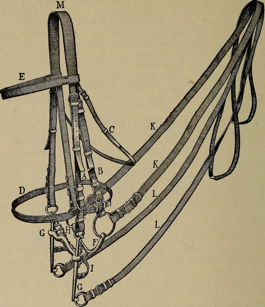 An illustration from The young folk's cyclopædia of games and sports ;, 1899, leaf 583