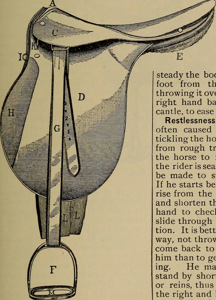 An illustration from The young folk's cyclopædia of games and sports ;, 1899, leaf 584