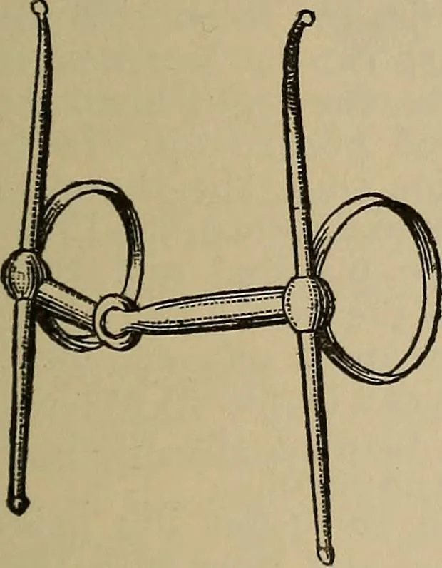 An illustration from The young folk's cyclopædia of games and sports ;, 1899, leaf 586