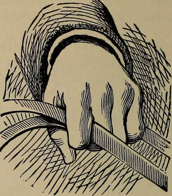 An illustration from The young folk's cyclopædia of games and sports ;, 1899, leaf 587