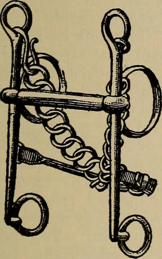An illustration from The young folk's cyclopædia of games and sports ;, 1899, leaf 592