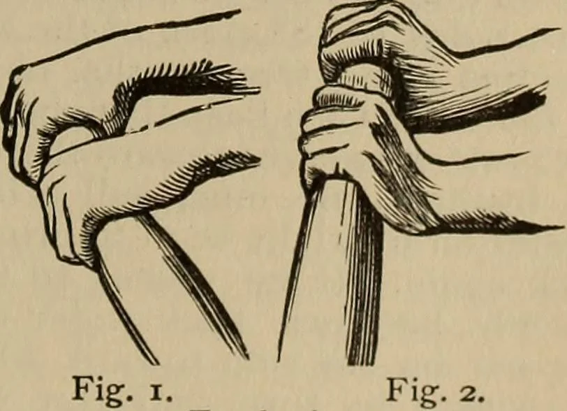 An illustration from The young folk's cyclopædia of games and sports ;, 1899, leaf 598