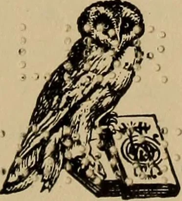 An illustration from The young folk's cyclopædia of games and sports ;, 1899, leaf 6